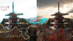 大象传媒免费下载观看-探索大象传媒，免费下载观看的数字娱乐新选择