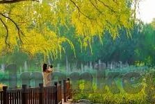 麻豆自制传媒仓库-麻豆自制，创意与自由并蓄的传媒宝藏仓库