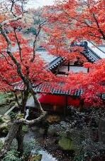 亚洲欧美日韩av图片-亚洲、欧美、日韩AV图片，文化、社会与个人视角的交织